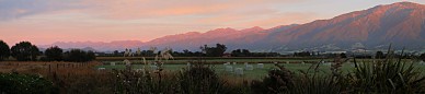 Kaikoura sunrise panorama