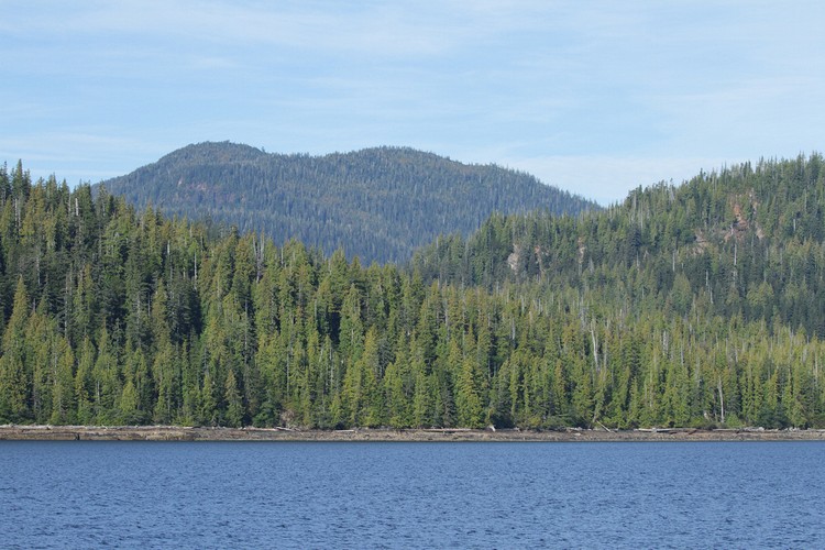 Revillagigedo Island