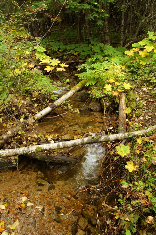 Stream