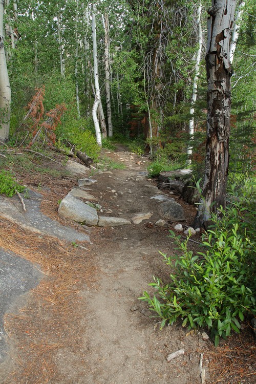Merced River Trail