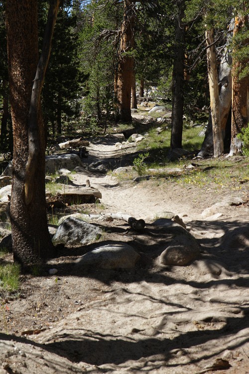 Rafferty Creek Trail