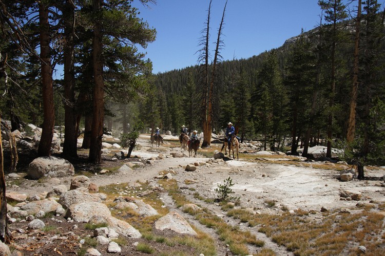 Day riders from Tuolumne Meadows