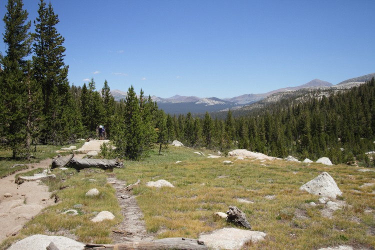 View back toward Tuolumne Meadows