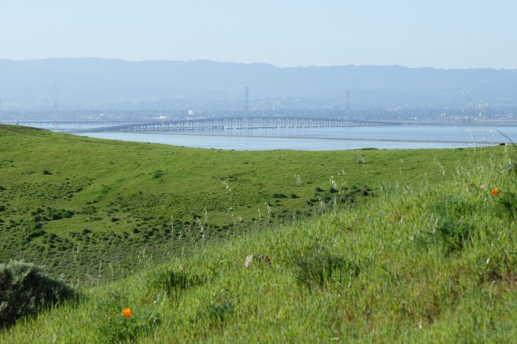 Dumbarton Bridge