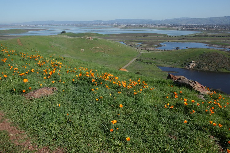 View from Red Hill Trail