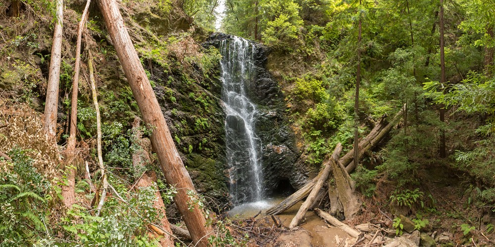 Berry Creek Falls