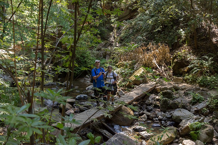 Hikers on Skyline-to-the-Sea Trail