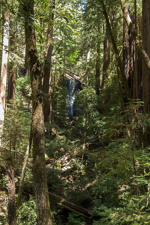 Berry Creek Fall from Skyline-to-the-Sea Trail