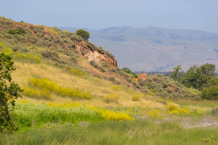 Coyote Hills and East Bay Hills