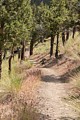 Deschutes River Trail