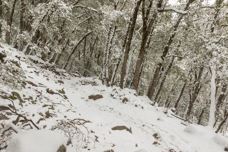 Upper Yosemite Falls Trail