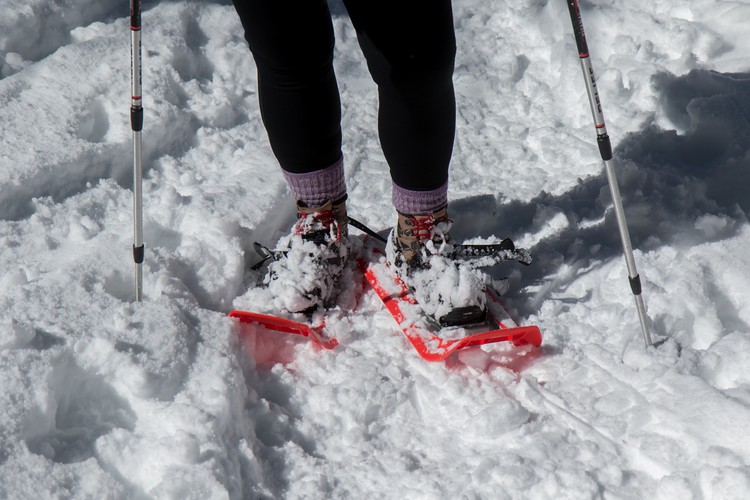 Snowshoes