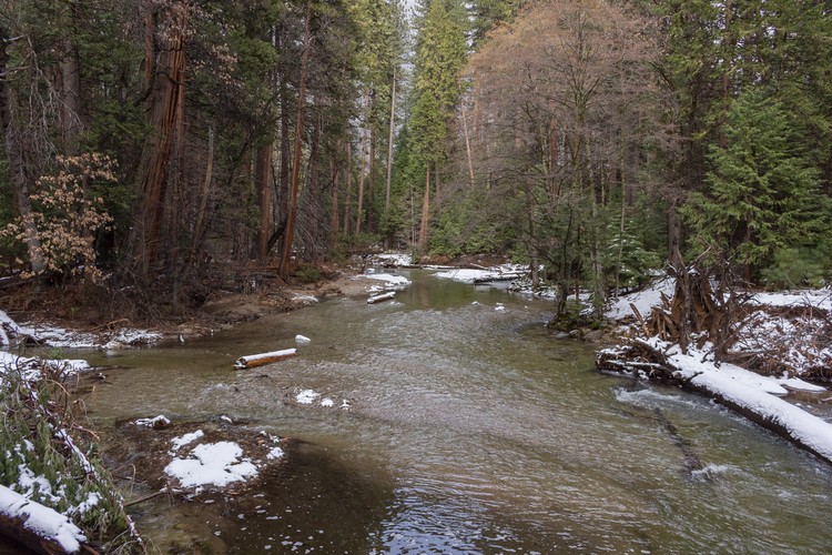 Yosemite Creek