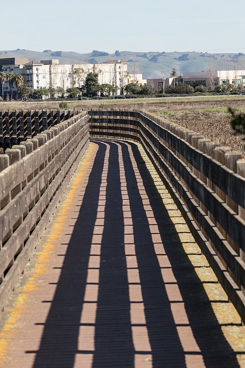 Bridge over La Riviere Marsh