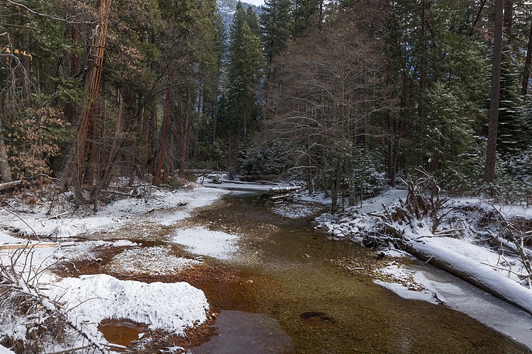 Yosemite Creek