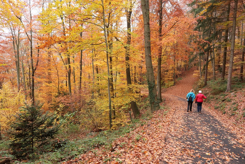 Philosopher's Walk, Heidelberg
