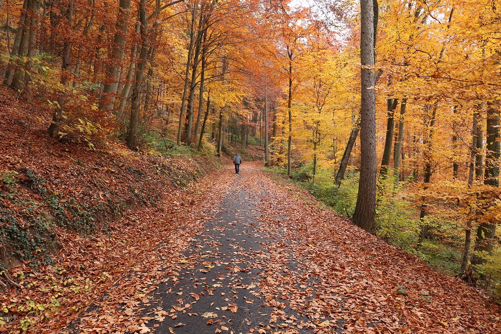 Philosopher's Walk, Heidelberg