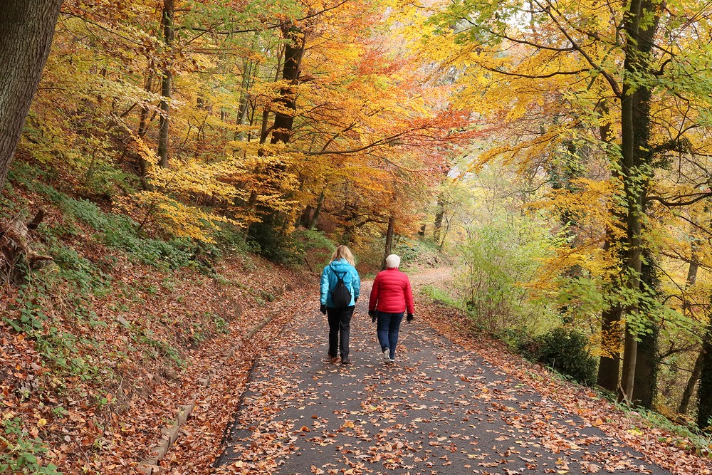 Philosopher's Walk, Heidelberg