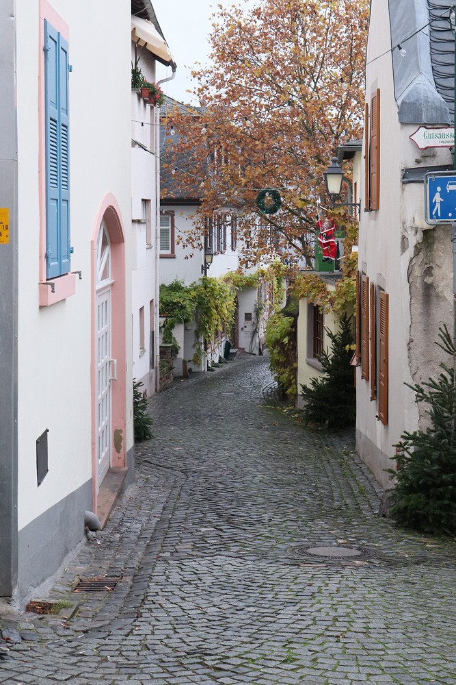 Steingasse