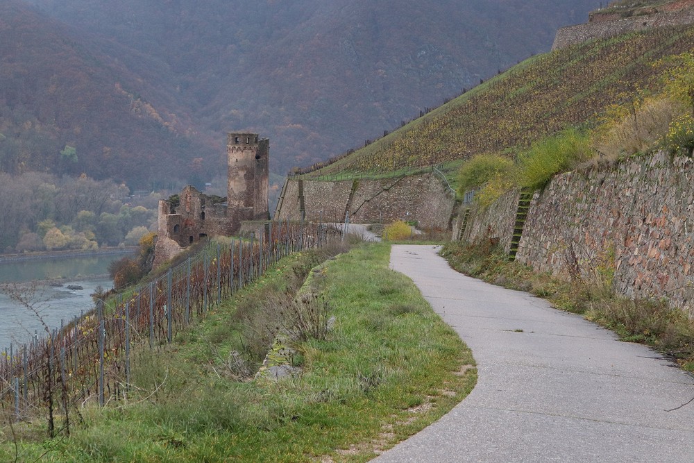 Path leading to Burg Ehrenfels ruins