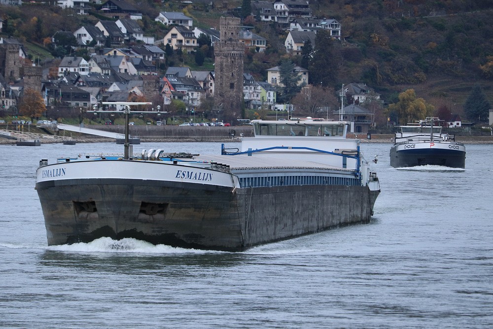 Busy through the Rhine Gorge