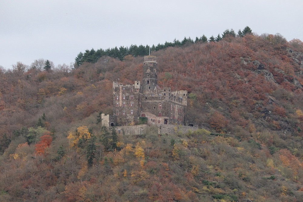 Burg Maus (1356)