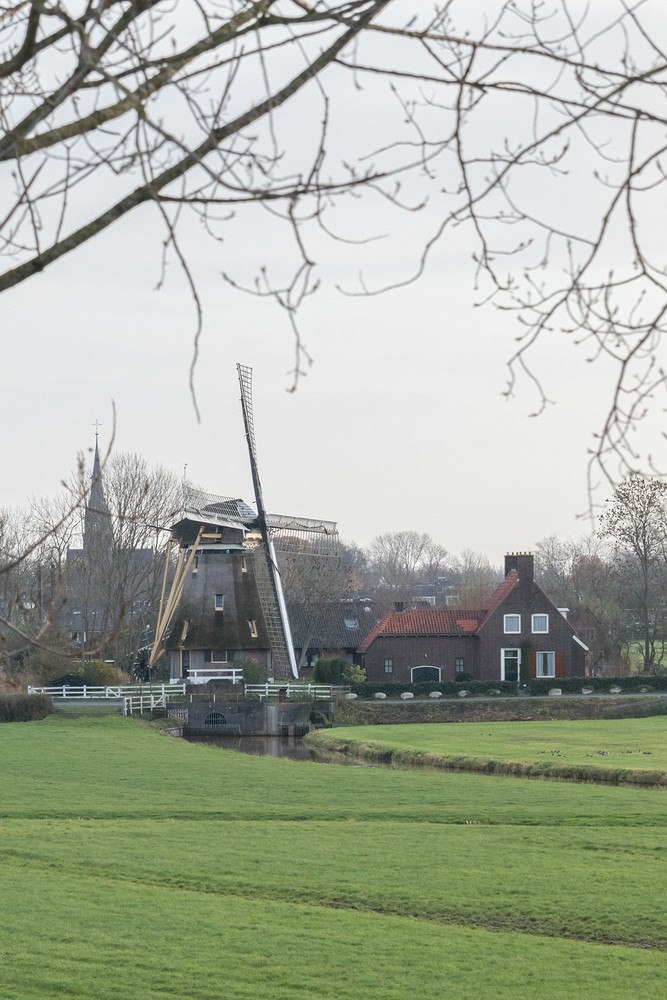 Windmill