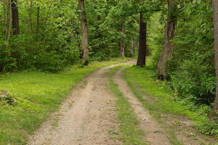 C&O Canal towpath