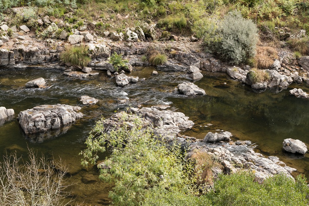 Paiva River