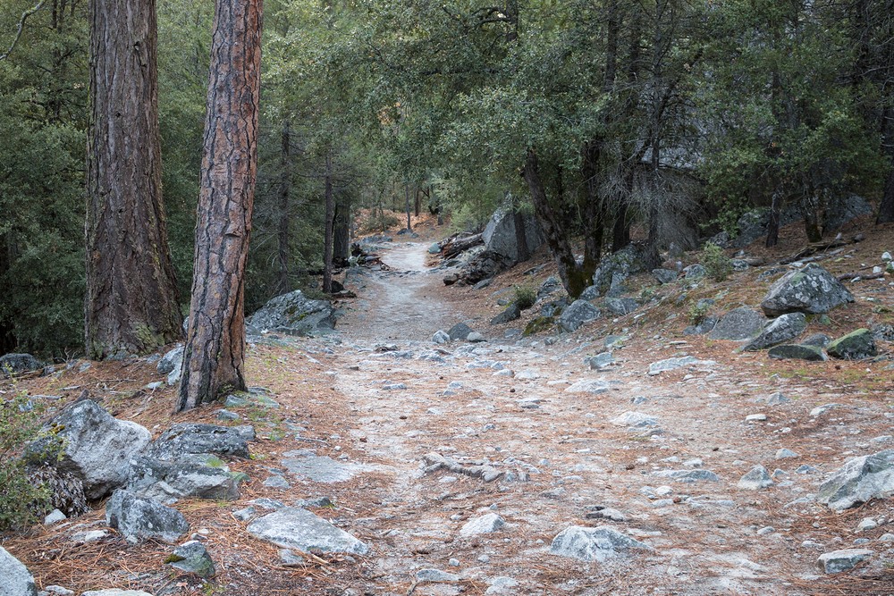 Mirror Lake Trail