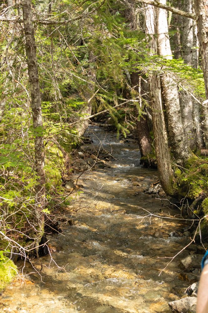 Dewey Creek