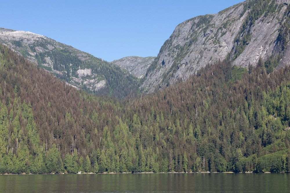 Misty Fjords National Monument