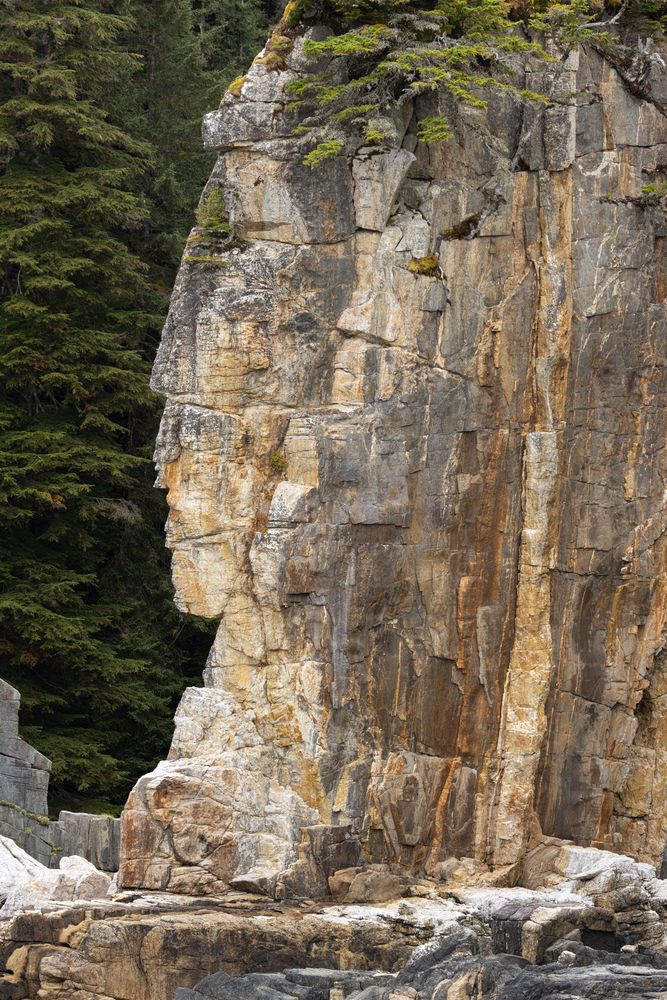 Chatham Sound shoreline