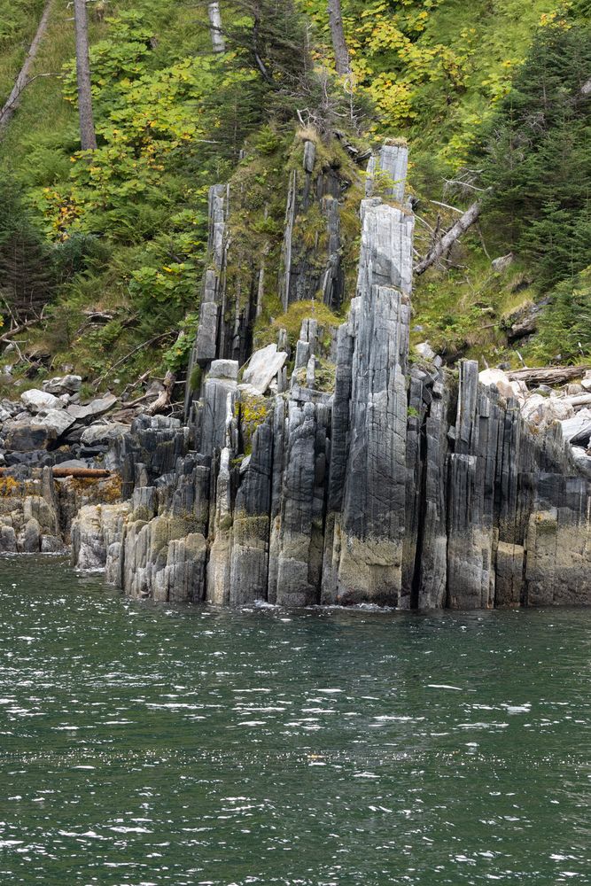 Chatham Sound shoreline
