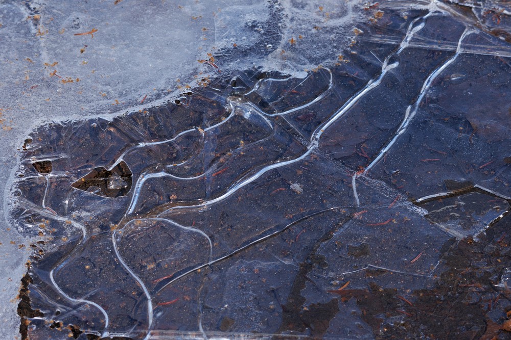 Icy puddle