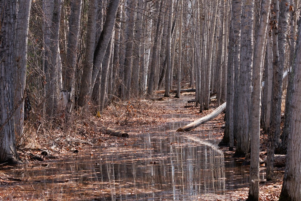 Flooded path