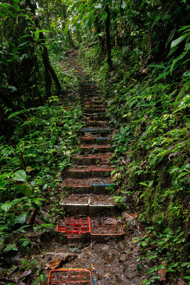 Soda case stairway