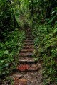 Soda case stairway