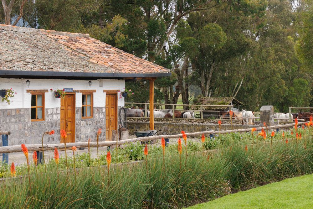 Stables