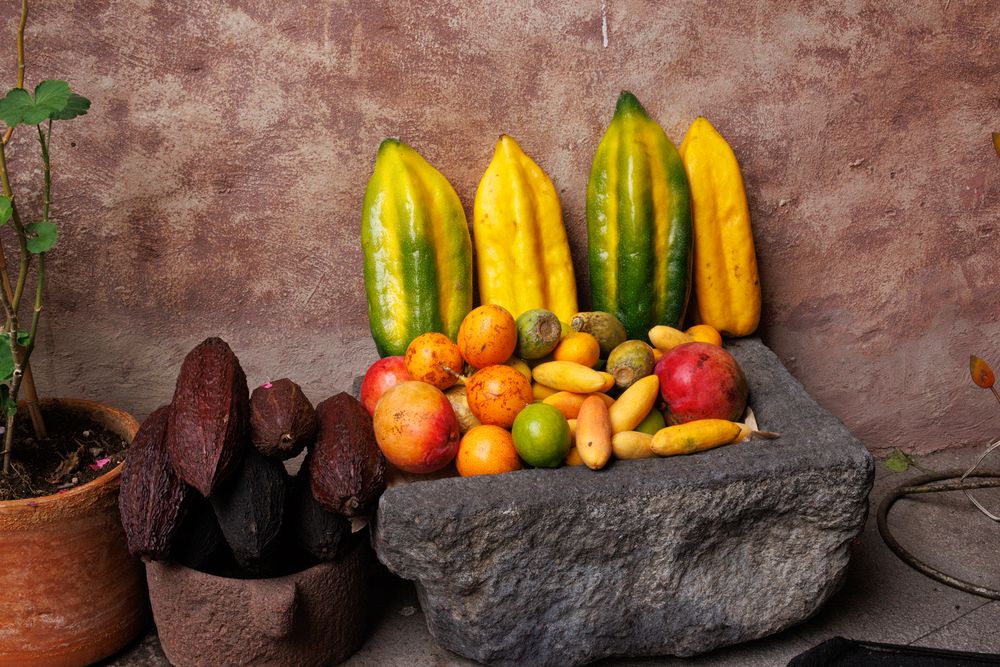 Fruit
