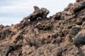 Aa lava