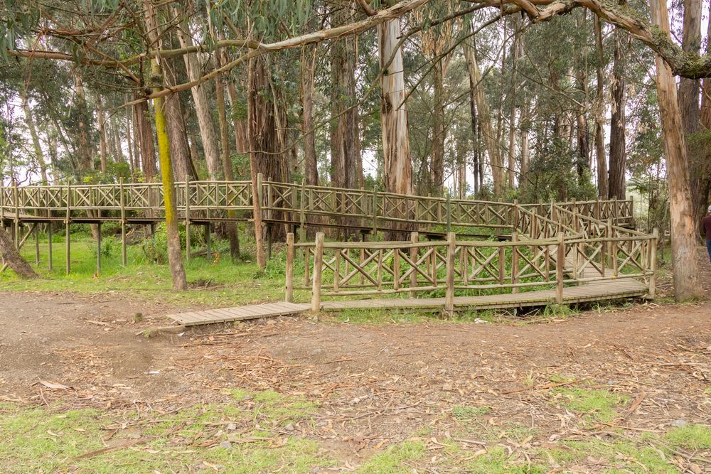 Parque de Paraiso