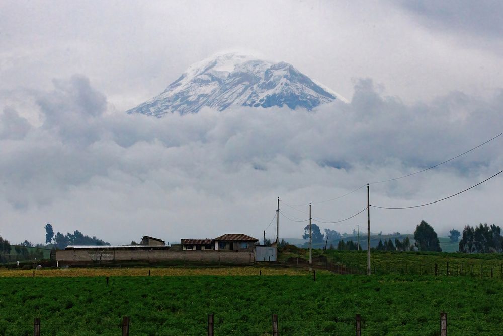 Chimborazo