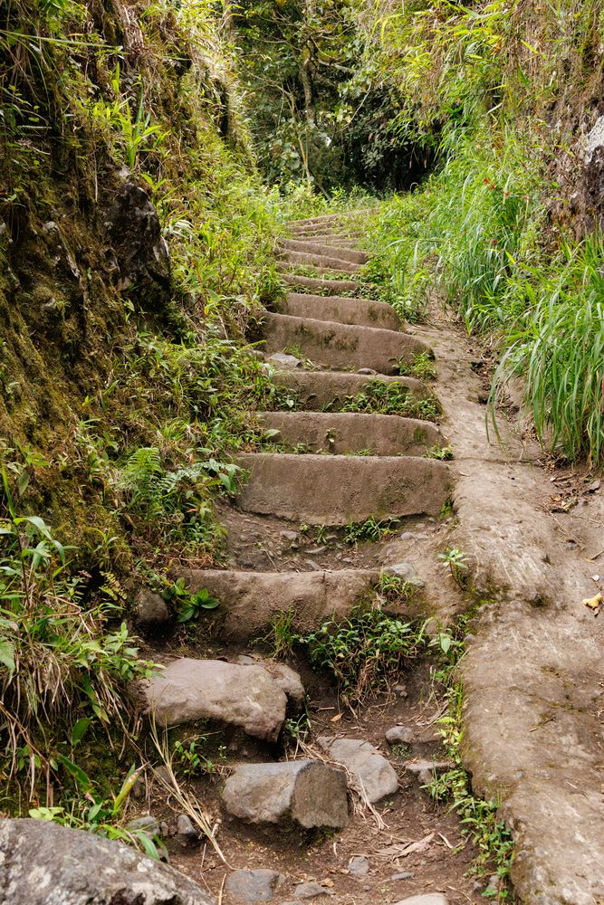Trail