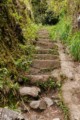Trail