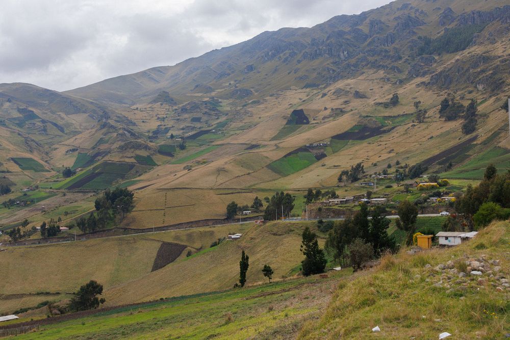 Tigua