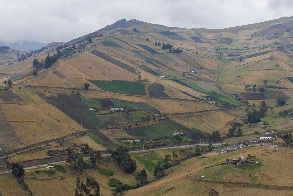 Tigua