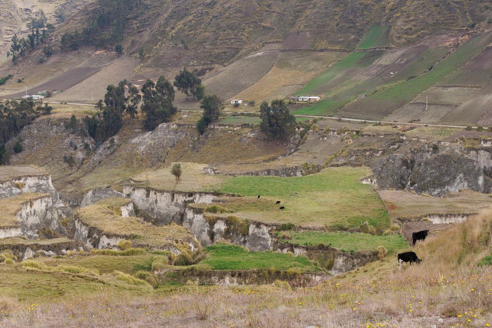 Zumbahua