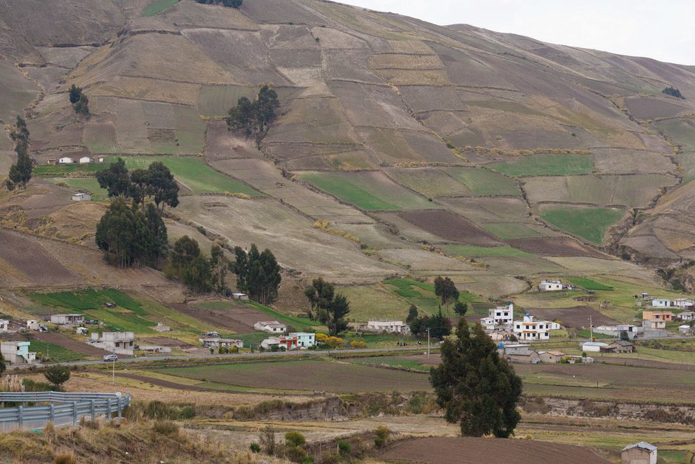 Zumbahua