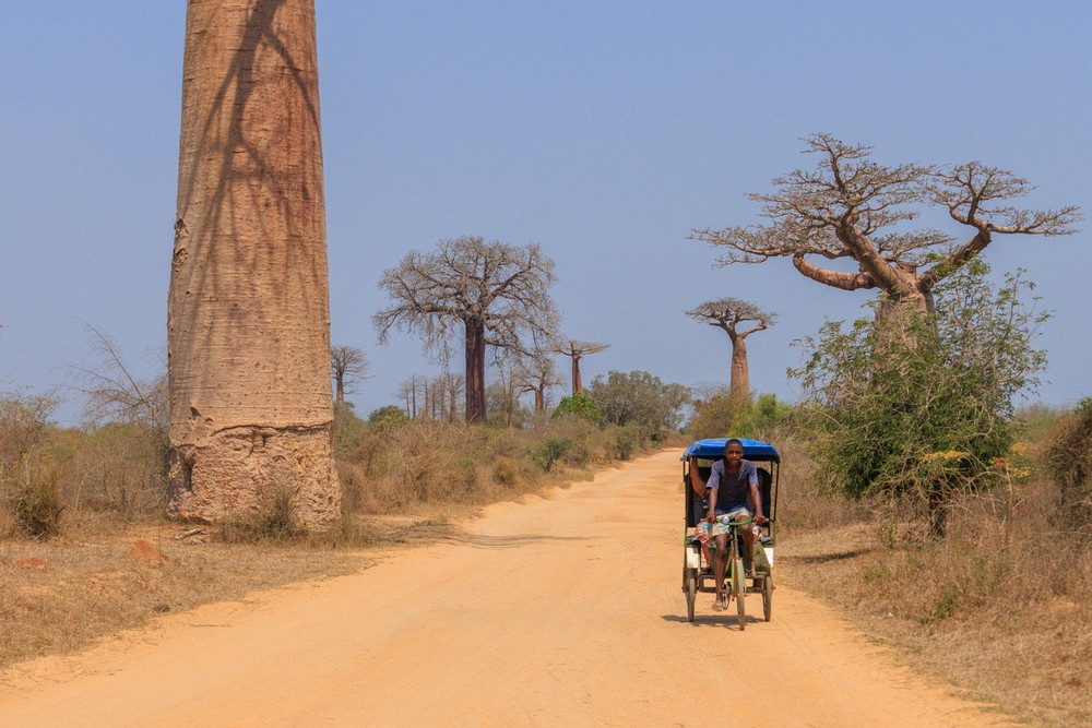 "Push-push" on the Kirindy road
